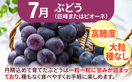 【★先行予約★　2025年6月発送開始】【3回定期便】フルーツ パート4（もも・ぶどう・梨） 桃 モモ ブドウ なし ナシ 果物 くだもの 広川町/JAふくおか八女農産物直売所どろや[AFAB020]