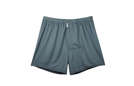 メンズ 下着 ショートトランクス 無地 Lサイズ 2枚セット （08 Olive）（11 Gray） 締め付け感の無い/専用BOX付き ZIVANE / アンダーウェア