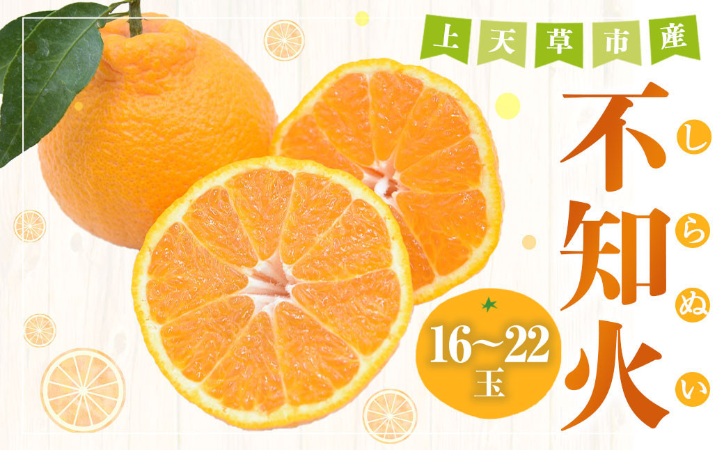 【先行受付】不知火 約5kg（16玉〜22玉） 柑橘 みかん 蜜柑 ミカン デコポン フルーツ 果物 果実 カットフルーツ 天草 熊本県 上天草市 【2027年3月下旬〜5月上旬順次発送予定】