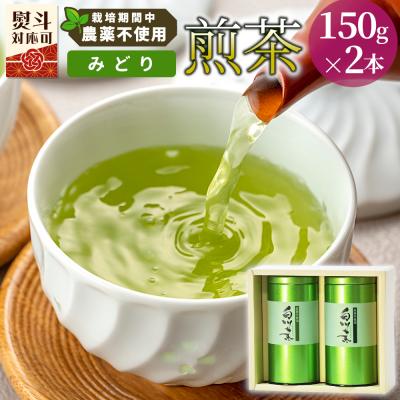 ふるさと納税 東白川村 栽培期間中 農薬不使用! 煎茶 ギフト NO.12 (みどり 150g×2本) 常磐園 日本茶