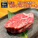 【ふるさと納税】【定期便6回】黒毛和牛 ヒレ・シャトーブリアンステーキ 合計2.7kg 450g×6回 シャトーブリアン ヒレ肉 ステーキ肉 ステーキ用 和牛 牛 牛肉 肉 国産 九州産 熊本県産 冷凍 6ヶ月 送料無料