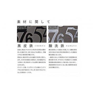 ふるさと納税 幸田町 GRAVIRoN Hang Plants シリーズ Diamond 　黒皮鉄(プランツハンガー) |  | 03