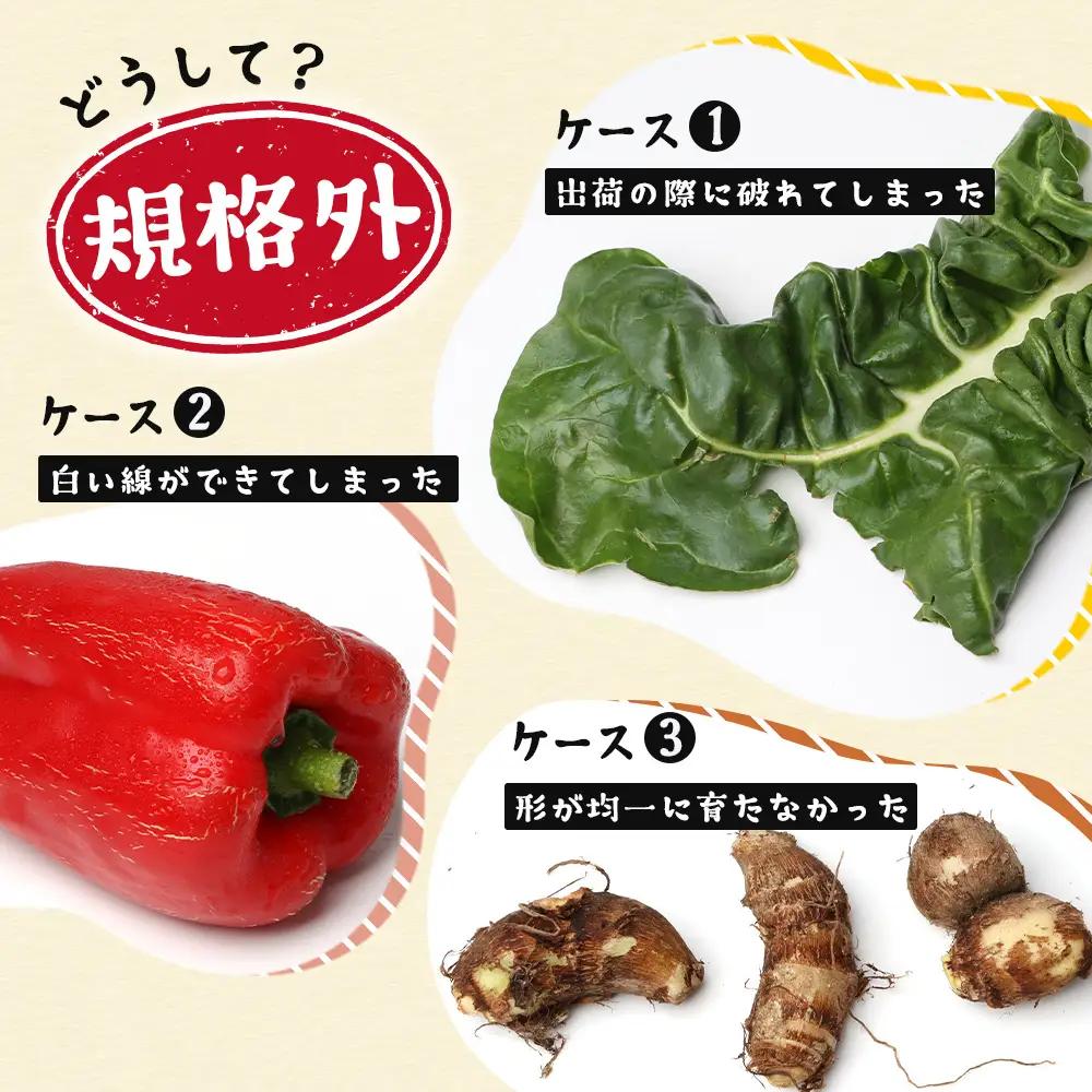 【定期便全6回】【規格外】本土最南端から 旬のおまかせ野菜セットA 10品目以上 NI-5 ｜ 旬 野菜 やさい 果物 くだもの 産地直送 農産物 冷蔵 鹿児島県 南大隅町産 詰合せ おまかせ 家庭用