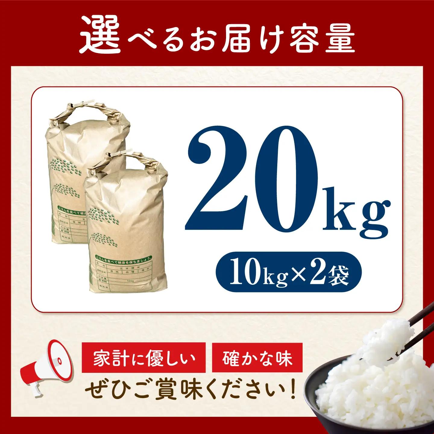 【令和8年産新米予約】【特Aランク受賞実績あり！】はるみ 20kg(10kg×2袋)【井上農園】 米 お米 精米 白米 はるみ[BDBB006-3]