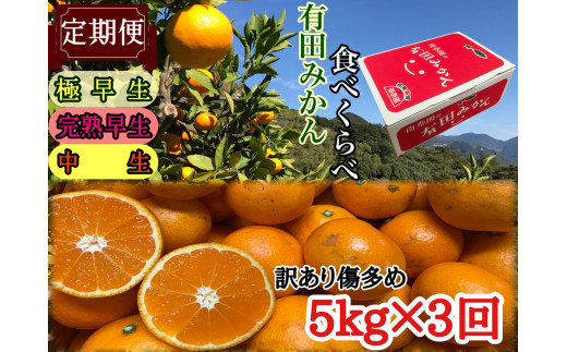 
                  定期便 訳あり 傷多め 5kg × 3回 コース 有田みかん 食べくらべ 3種 全3回 南泰園
                