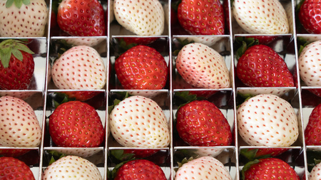 赤白いちごの宝石箱アソート 36粒 【2025年12月から発送開始】（茨城県共通返礼品 [いちご]：城里町産）