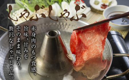 すき焼き、しゃぶしゃぶなどに最適な飛騨牛スライスセット [A5等級] 飛騨牛赤身肉すき焼き・しゃぶしゃぶ用 500g『モモ・カタ肉』あかみ 牛肉 すき焼き すき焼き肉 赤身 すきやき 小川ミート 本巣