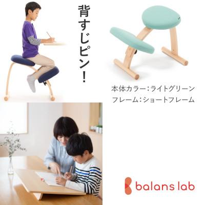 ふるさと納税 美濃市 バランスイージー ショート[ライトグリーン]+イージーライティングボードL【複数個口で配送】