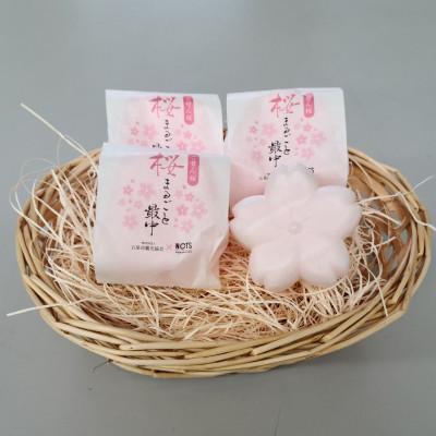ふるさと納税 五泉市 ごせん桜　桜まるごと最中8個セット |  | 03