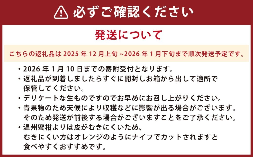 熊本県産みはや 約5キロ 果物 柑橘類