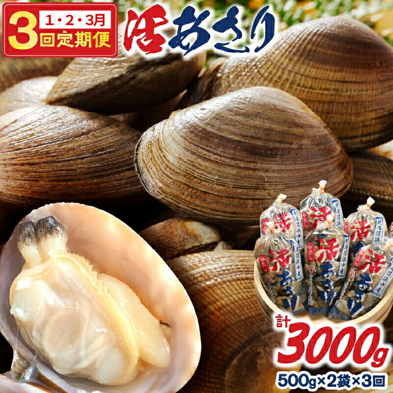 【ふるさと納税】連続 1月・2月・3月 お届け 先行予約 期間限定 浜中町産 活あさり 定期便 500g × 2袋 × 3回 総重量3kg 殻付 冷蔵 貝 貝類 海鮮 砂出し済み 味噌汁 汁物 酒蒸し パスタ おかず おつまみ お土産 手土産 海産物 北海道 浜中町 お取り寄せ グルメ 送料無料