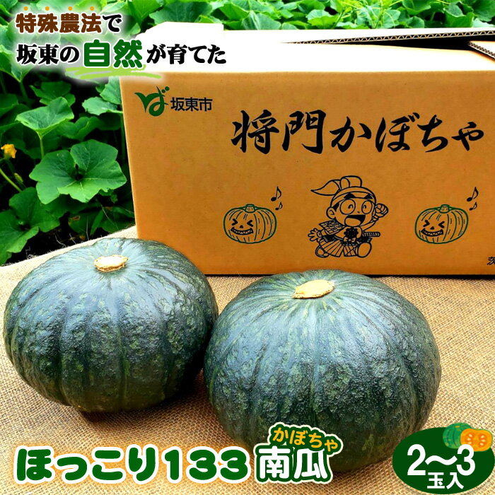 【ふるさと納税】特殊農法で坂東の自然が育てた「ほっこり133南瓜」2～3玉入 ／ かぼちゃ カボチャ ホクホク 甘味 品質 糖度 野菜 送料無料 茨城県 No.842
