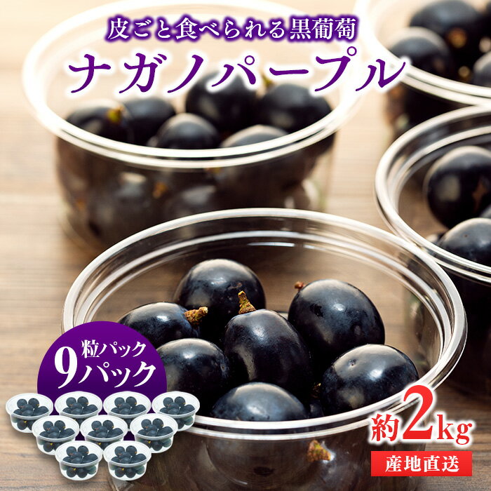 【ふるさと納税】期間限定 ナガノパープル選べる容量 1kg or 2kg ぶどう 皮ごと食べられる 粒パック 約2kg フルーツ 果物　ナガノパープル ぶどう　お届け：2026年9月中旬～下旬ごろ