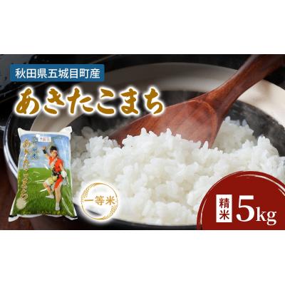 ふるさと納税 五城目町 五城目産　一等米・あきたこまち5kg(精米) お米 秋田県産 　[No.5880-3229]