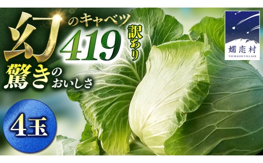 【7月中旬発送開始】訳あり まぼろしの419キャベツ 4玉 きゃべつ 嬬恋村産キャベツ 羽生田売店 幻のキャベツ419 産地直送 期間限定 人気 朝採り 通販 お取り寄せ 関東 群馬 出荷時期限定 Z