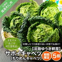 【ふるさと納税】【淡路ゆうき耕房】国産では希少な納豆菌栽培！【期間限定】サボイキャベツ（ちりめんキャベツ）5個