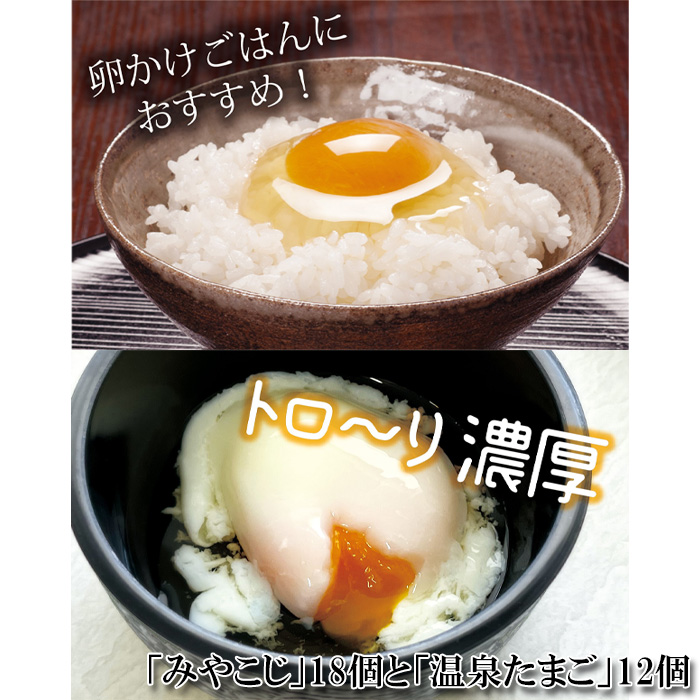 伝承卵「みやこじ」18個（15個＋卵割れ補償3個）と「温泉たまご」12個（10個＋卵割れ補償2個）の詰合せ No.429
