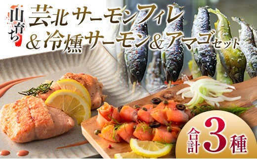 
                  芸北サーモン計800g＆アマゴセット 骨取り サーモンフィレ 冷燻サーモン スモークサーモン 芸北アマゴ 清流育ちのお魚セット 山育ち芸北サーモン_OG065_004
                