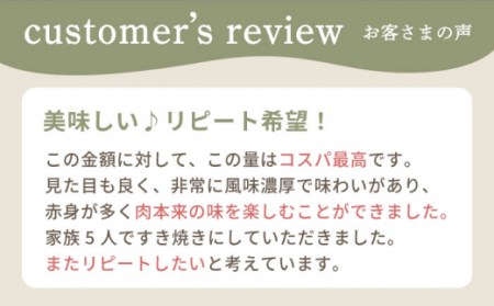 【牧場直送】【12回定期便】佐賀県産しろいし牛 万能切落し 1000g 【有限会社佐賀セントラル牧場】[IAH135]