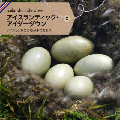 ふるさと納税 都留市 アイダーダウン枕　桐箱入り |  | 02