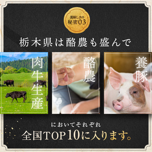 【栃木県共通返礼品】【定期便6回】宮福笑牛(とちぎ和牛) A5 サーロインステーキ　約200gx4枚  | 黒毛 和牛 牛肉 焼肉 とろける 霜降り 赤身 切り落とし ふるさと 納税 イチオシ おすす