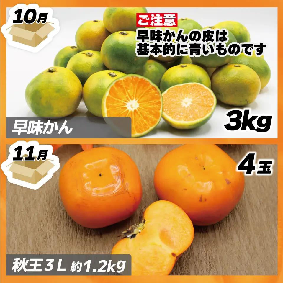 【定期便】福岡県ブランドフルーツ定期便（年４回） ブランド いちご いちじく みかん 柿 大人気 NO1 限定品 高級 フルーツ 果物 くだもの 特別 冷蔵 プレゼント 九州 福岡 宮若市 ふるさと納