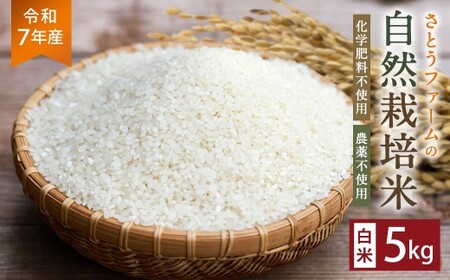 【令和7年産】さとうファームの自然栽培米（白米5kg）白米 お米 ふっくら つやつや おいしい 美味しい 贈り物 単一原料米