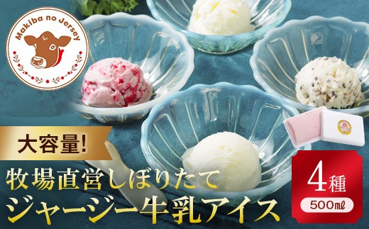 【ジャージー牛乳使用】まきばのジャージーアイス 500ml×4 (ミルク・チョコチップ・塩ミルク・季節のアイス) 福島県 伊達市 東北  アイスクリーム 濃厚 F21C-038