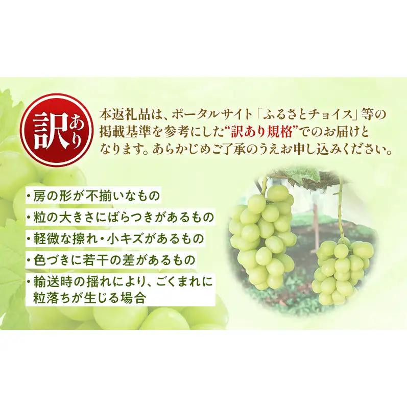 【★先行予約】【訳あり】長野県産シャインマスカット 約400g×3房 見た目にワケあり 味はそのまま 果物 旬のフルーツ 長野県 上田 信州