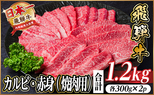 飛騨牛　厳選カルビ・赤身(焼肉・BBQ用)　計1.2kg(各300g×2)　黒毛和牛　小分け【配送不可地域：離島】