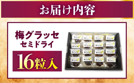 うめグラッセ セミドライ 16粒入 紅映梅使用 / 梅 ウメ 甘酸っぱい 梅スイーツ 小浜市 / アップ・トゥ・ユウ[BFAU006]