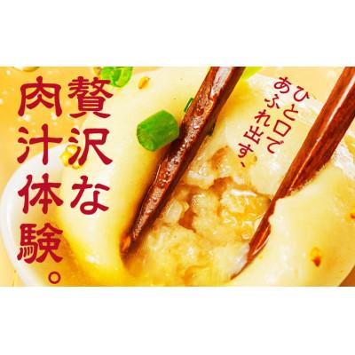 ふるさと納税 豊橋市 【国産】焼き小籠包60個入 |  | 01