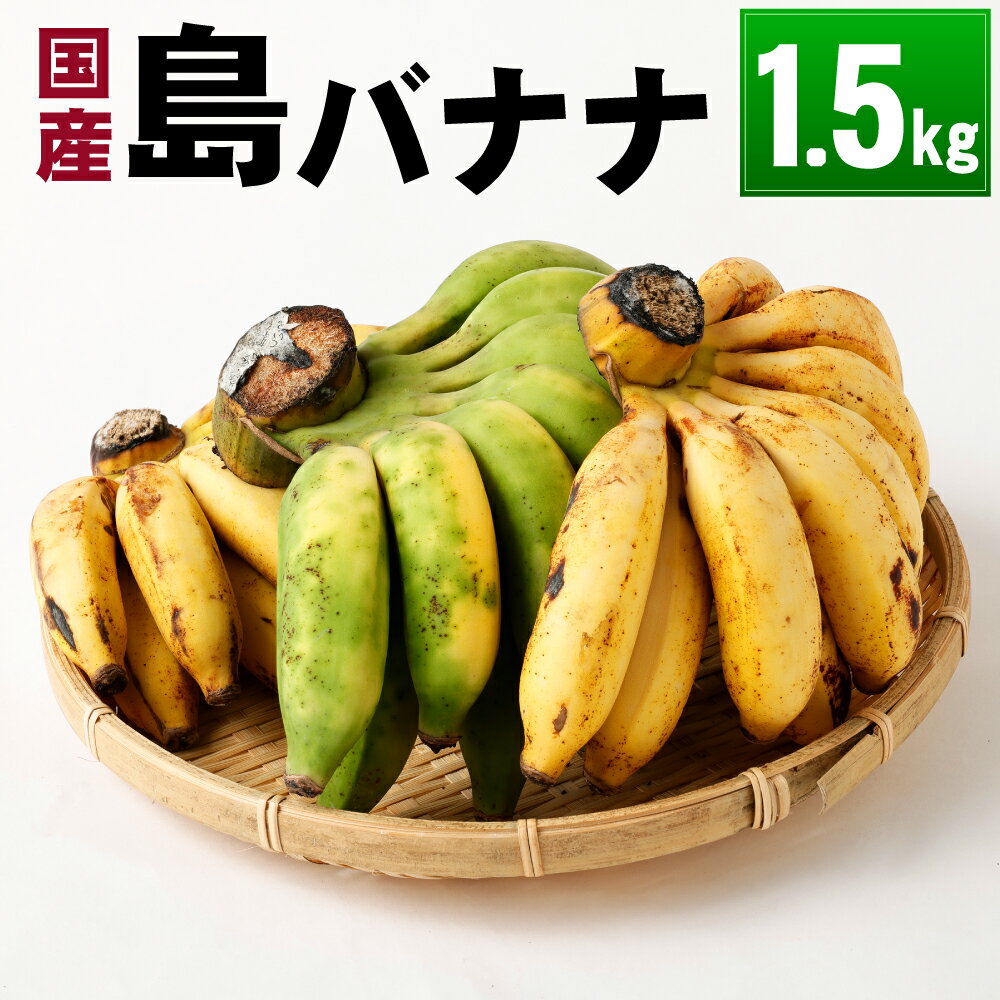 【ふるさと納税】【2025年発送】徳之島 子宝バナナ 1.5kg 島バナナ バナナ フルーツ 果物 南国フルーツ くだもの 国産 鹿児島県 送料無料 AL-6-N