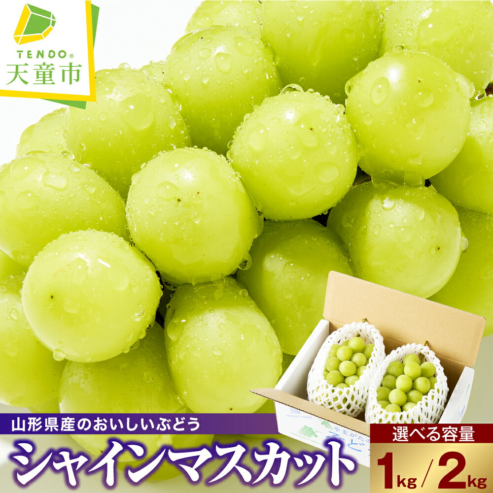 【ふるさと納税】 ぶどう ( シャインマスカット ) 秀品 選べる 1kg / 2kg 令和8年産 先行予約 2026年 山形県産 葡萄 果物 フルーツ のし 贈答 ギフト プレゼント おすそ分け 秋 旬 期間限定 冷蔵便 送料無料 産地直送 お取り寄せ【 山形県 天童市 】