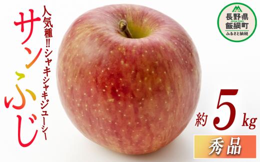 りんご サンふじ 秀 5kg 光センサー選別品 ながの農業協同組合 沖縄県への配送不可 2025年12月上旬頃から2025年12月下旬頃まで順次発送予定 令和7年度収穫分 信州 果物 フルーツ リンゴ 林檎 長野 14500円 予約 長野県 飯綱町 [0339]