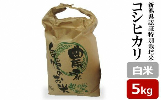 【ふるさと納税】【令和7年産新米】コシヒカリ 白米 5kg 新潟県認証特別栽培米 岩之入西の棚田米 池田農園[Y0578]【 新潟県 柏崎市 】