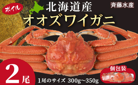 【12月23日決済確定分まで年内発送】北海道産 オオズワイ 300g～350g ×2尾 ＜斉藤水産＞ AM113