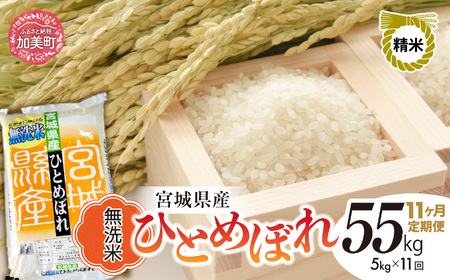 【新米予約】令和8年産 ひとめぼれ無洗米 5kg×11回定期便 無洗