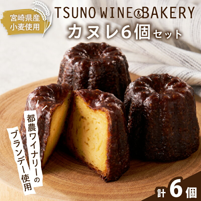 【ふるさと納税】TSUNOWINE＆BAKERY カヌレ 6個 セット 焼き菓子 スイーツ 洋菓子 デザート お菓子 カヌレ詰め合わせ ブランデー 大人スイーツ 外カリ 中もち ティータイム おやつ ご褒美 手土産 プチギフト 贈り物 人気 地元食材 こだわり素材 宮崎県 都農町 送料無料