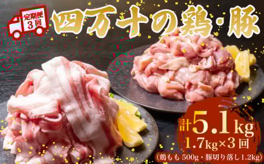 【3ヶ月連続】四万十ブランド 鶏肉500g 豚肉1.2kg（計1.7kg×3回) 5.1kg 3回定期便 5Vコース｜ 四万十ポークスライス 四万十ポーク 豚バラ肉 小分け 小間切れ スライス 切り落とし 冷凍 真空パック 細切れ 切身 カット 一口大 カット済み  四万十鶏 鳥肉 とりにく 鶏もも 国産 ブランド 唐揚げ 煮物 鍋 チキン 高知県 須崎市 TM128000
