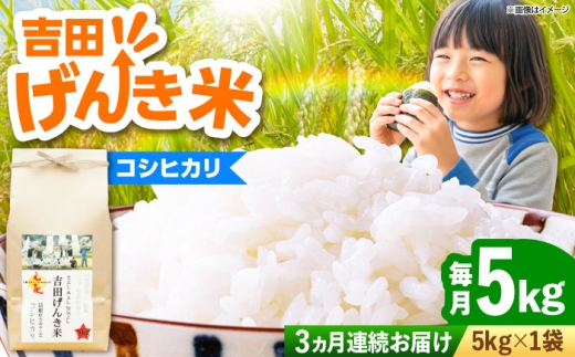 米【全3回定期便】吉田げんき米コシヒカリ 5kg こしひかり げんき米 お米 おこめ 米 はくまい 白米 精米 コメ 5キロ 使いやすい ごはん ご飯 おにぎり お弁当 朝ごはん 便利 朝食 食卓 主食 グルメ おいしい ふっくら もちもち 食感 国産 新生活 一人暮らし 家族 ご当地 ごはんソムリエ おすすめ 人気 定期便 島根県雲南市/有限会社藤本米穀店 [AIDB120]