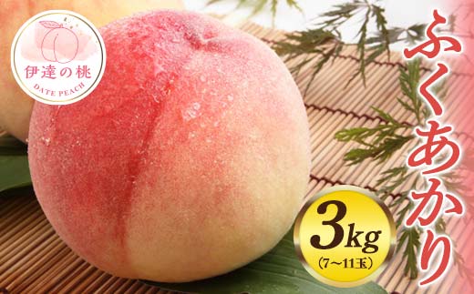 福島県産 ふくあかり 約3kg 先行予約 フルーツ 果物 伊達市産 もも モモ momo F20C-553