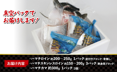 遊子 ハマチ セット 計 1kg 愛媛県漁業協同組合遊子支所 数量限定 急速冷凍 皮なし 皮付き ハマチカマ ブロック 加工 真空パック 小分け 流水解凍 刺身 たたき 刺身 塩焼き 刺身 煮付け 刺