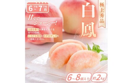 【フルーツ定期便・全6回】品質に自信あり！くしがきの里から直送　厳選した果物を最高のタイミングでお届け♪ / 定期便 桃 もも みかん 柑橘 シャインマスカット マスカット いちご 不知火 はれひめ 