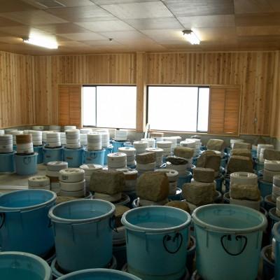 ふるさと納税 彦根市 【あゆの店きむら】 びわ湖産天然 鮒寿し 中サイズ |  | 03