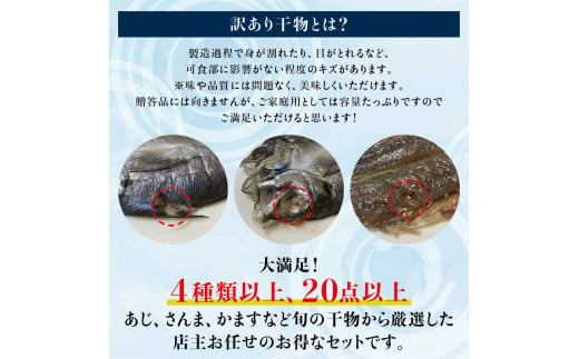 【冷蔵】 訳あり干物セット たっぷり20点以上！おざきのひもの「おまかせスペシャルセット」 / ひもの 干物 干物セット 個包装 一夜干し 訳あり わけあり【ozk103】