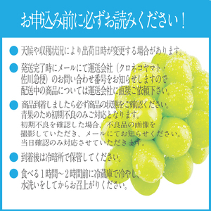 2026年 先行先行予約【2回定期便】シャインマスカット晴王約2kg(3～5房) 岡山県産 種無し 皮ごと食べる みずみずしい 甘い フレッシュ 瀬戸内 晴れの国 おかやま 果物大国 ハレノフルーツ9