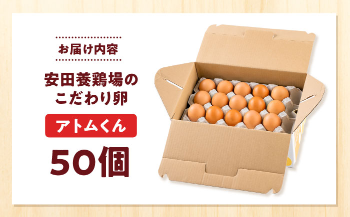 安田養鶏場の卵 アトムくん 50個入り 横須賀市 産地直送 たまご 黄身 濃厚 卵 玉子 タマゴ 鶏卵  【安田養鶏場】 [AKHN004]