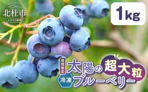 【超大粒】山梨県産（明野産）冷凍 ブルーベリー1,000g　無農薬 新鮮 フルーツ くだもの 生果実 ベリー 北杜市産 期間限定 数量限定