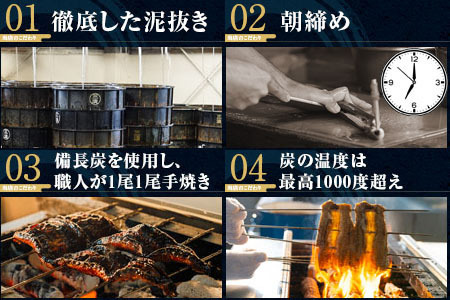 三河一色産うなぎ白焼き大1尾蒲焼大1尾(280g以上)・R005